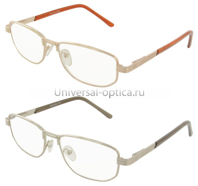 1102-1 очки корриг. Endless Panorama  +1.25