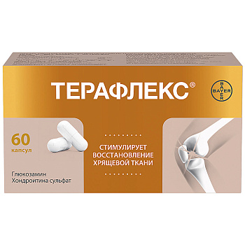 Терафлекс капс. 500 мг+400 мг № 60