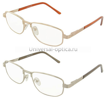 1102-1 очки корриг. Endless Panorama  +1.25